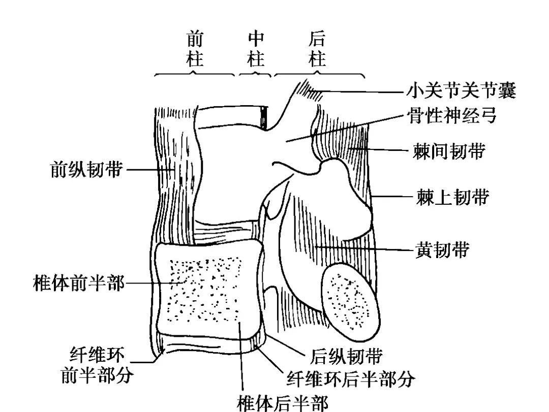 图片55.png