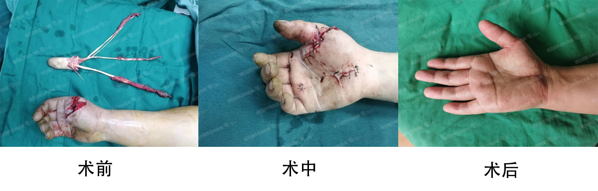 微信截图_20240313095145.jpg