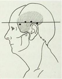 640 (2).png